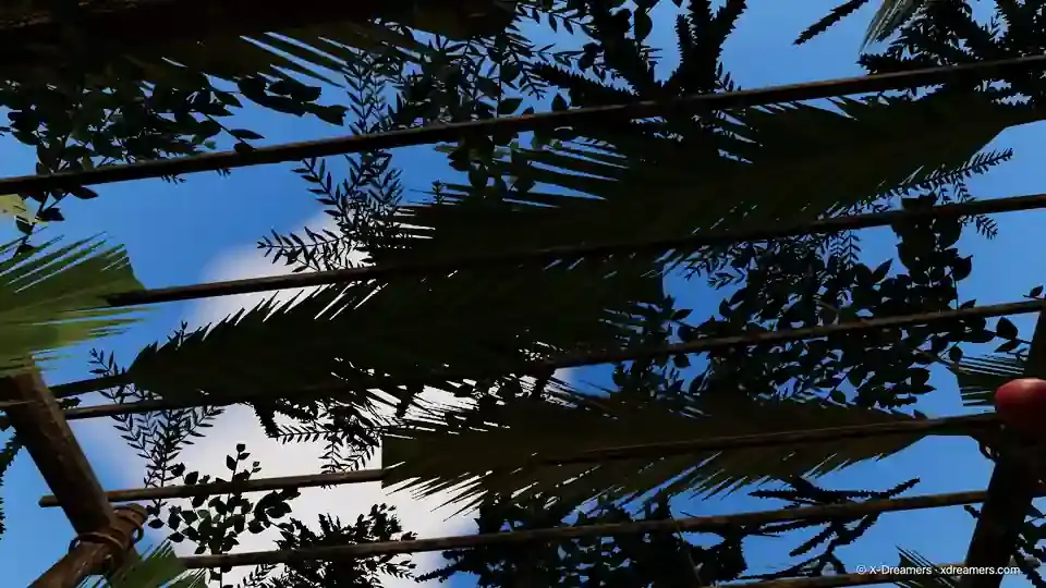 3D 实验室的这一站:抬头