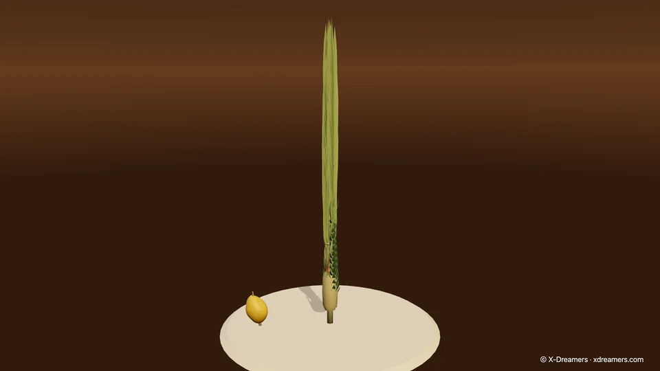 3D 实验室的这一站:四样合一