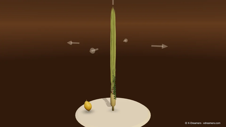 3D 实验室的这一站:显示摇动